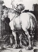 Albrecht Durer The Large Horse oil on canvas